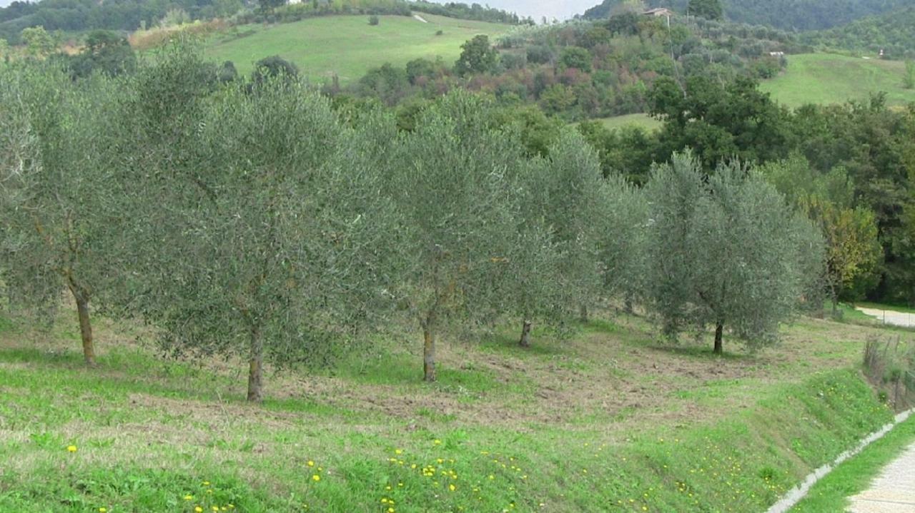 Agriturismo Frallarenza Ficulle Exterior foto
