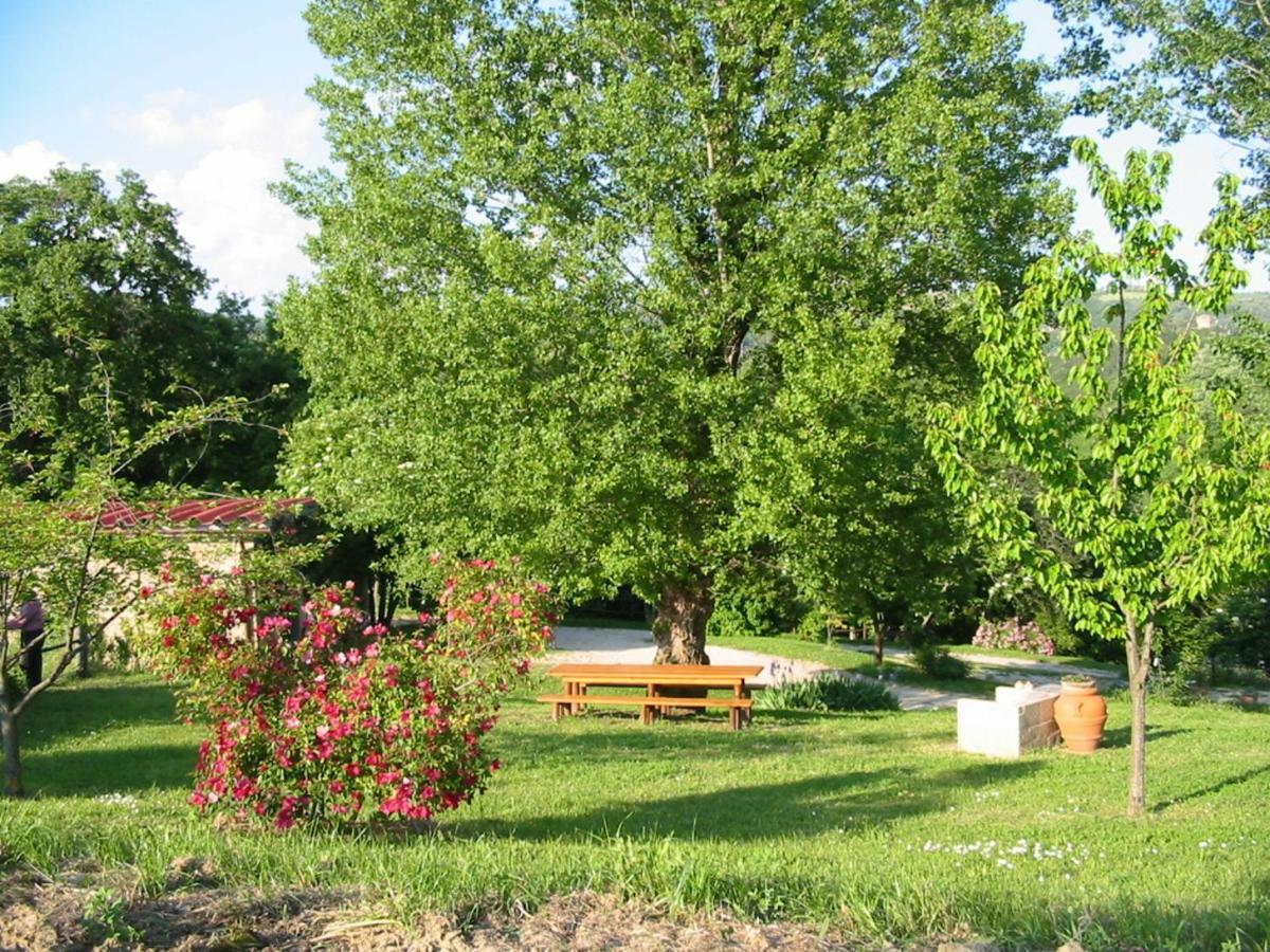 Agriturismo Frallarenza Ficulle Exterior foto